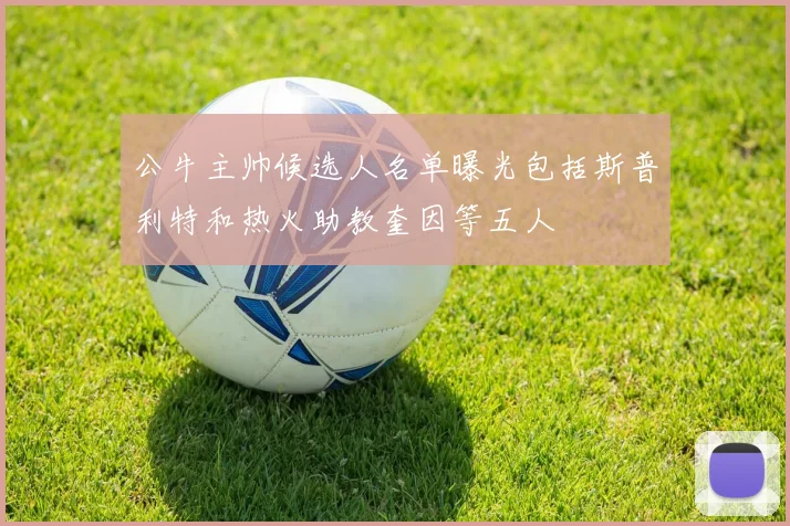 公牛主帅候选人名单曝光包括斯普利特和热火助教奎因等五人