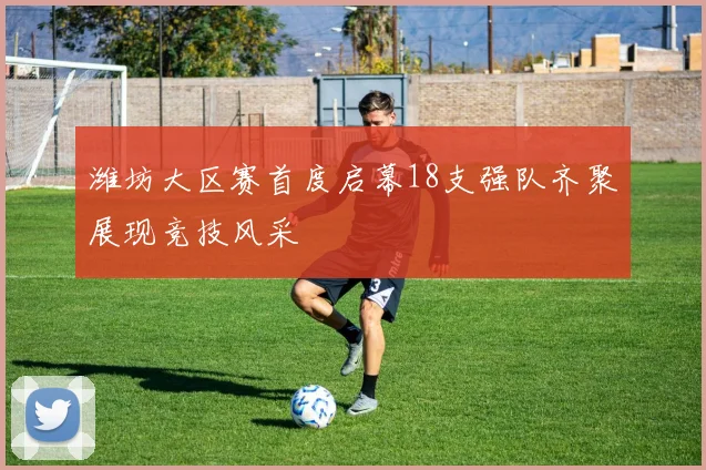 潍坊大区赛首度启幕18支强队齐聚展现竞技风采