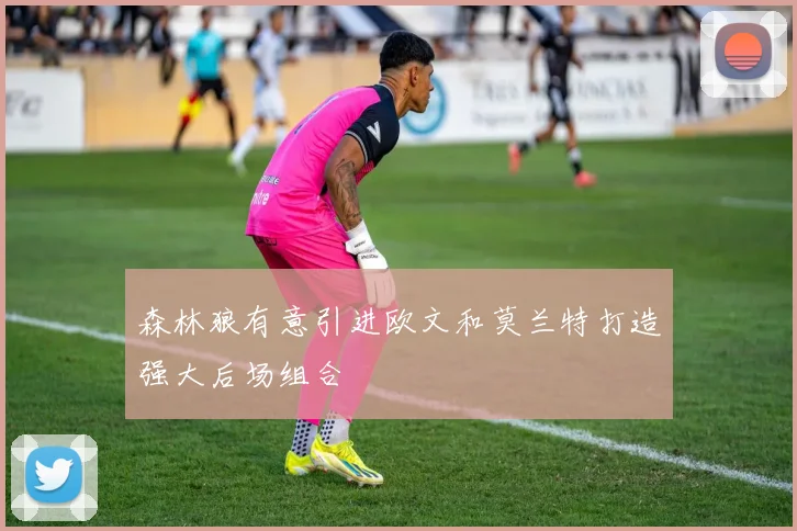 森林狼有意引进欧文和莫兰特打造强大后场组合